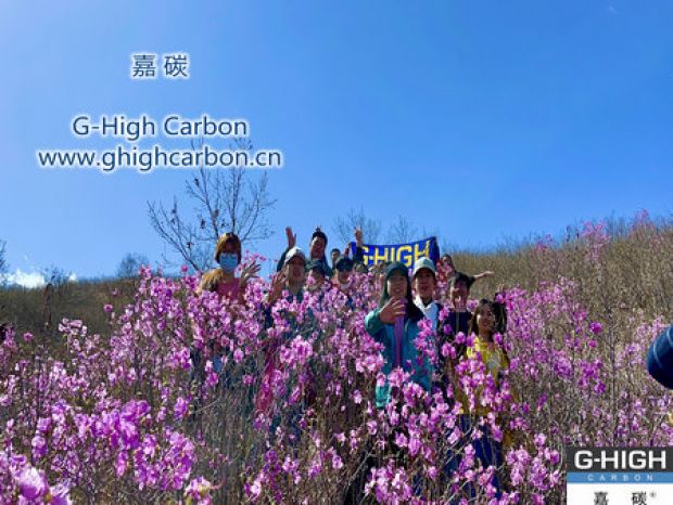 山野映山紅遍，嘉碳不負(fù)春光