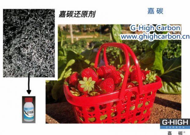 嘉碳還原劑守護(hù)“莓”好，甜蜜上線