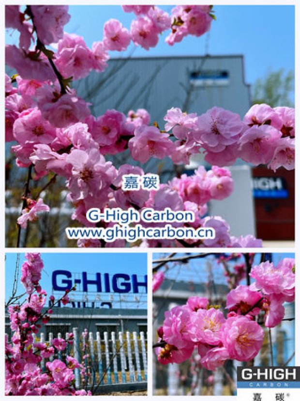 環(huán)保嘉碳，春花爛漫