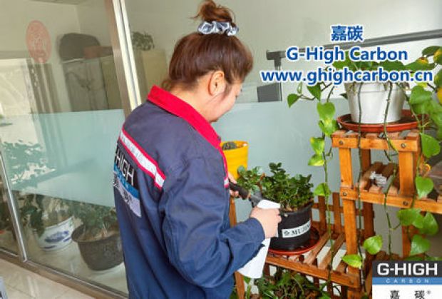 午休時光種花忙，美化辦公環(huán)境添綠意